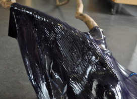 Bildzüchtungen und Transplantationen, 2015 | Sadhyo Niederberger