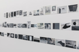  |  | Sadhyo Niederberger