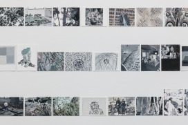  |  | Sadhyo Niederberger