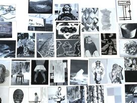  |  | Sadhyo Niederberger