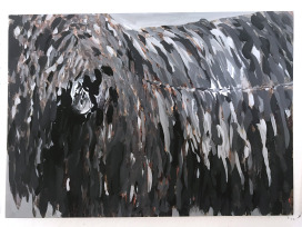  |  | Sadhyo Niederberger