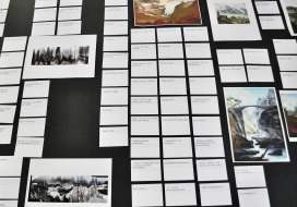  |  | Sadhyo Niederberger