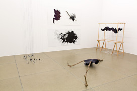  |  | Sadhyo Niederberger