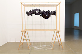  |  | Sadhyo Niederberger