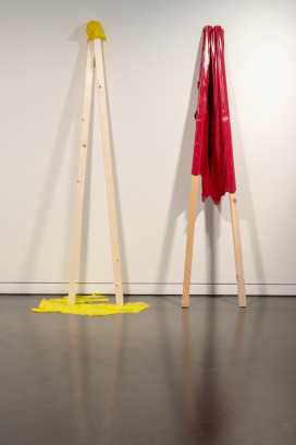  |  | Sadhyo Niederberger