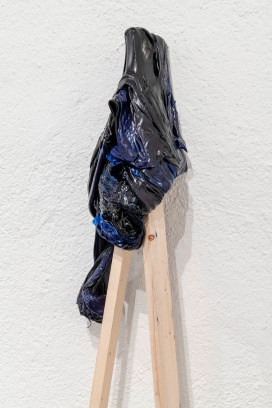  |  | Sadhyo Niederberger