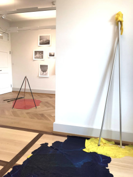  |  | Sadhyo Niederberger