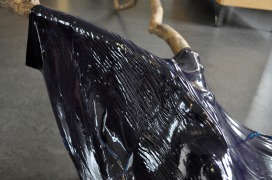  |  | Sadhyo Niederberger