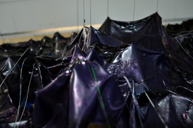  |  | Sadhyo Niederberger