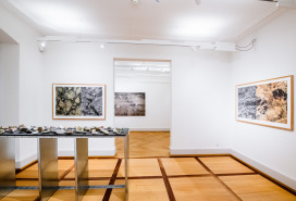 Fotos  | Gregor Galliker | Sadhyo Niederberger