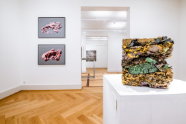 Fotos  | Gregor Galliker | Sadhyo Niederberger