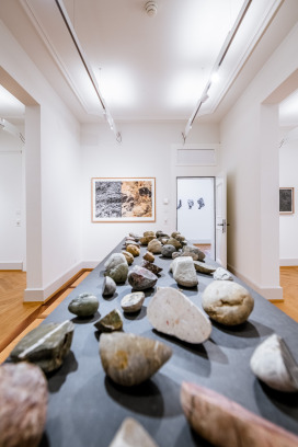 Fotos  | Gregor Galliker | Sadhyo Niederberger