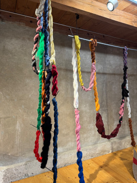 Step Across the Border |  | Sadhyo Niederberger