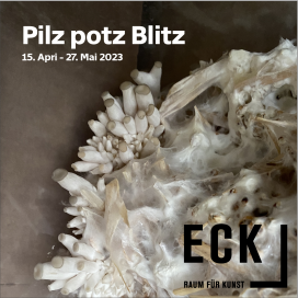 Fotos und Flyers |  | Sadhyo Niederberger